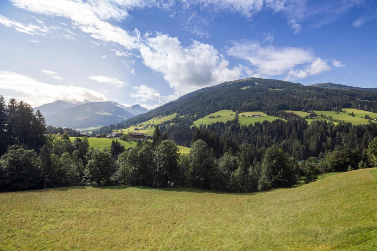 Alpbacherhof Mountain & Spa Resort Dış mekan fotoğraf